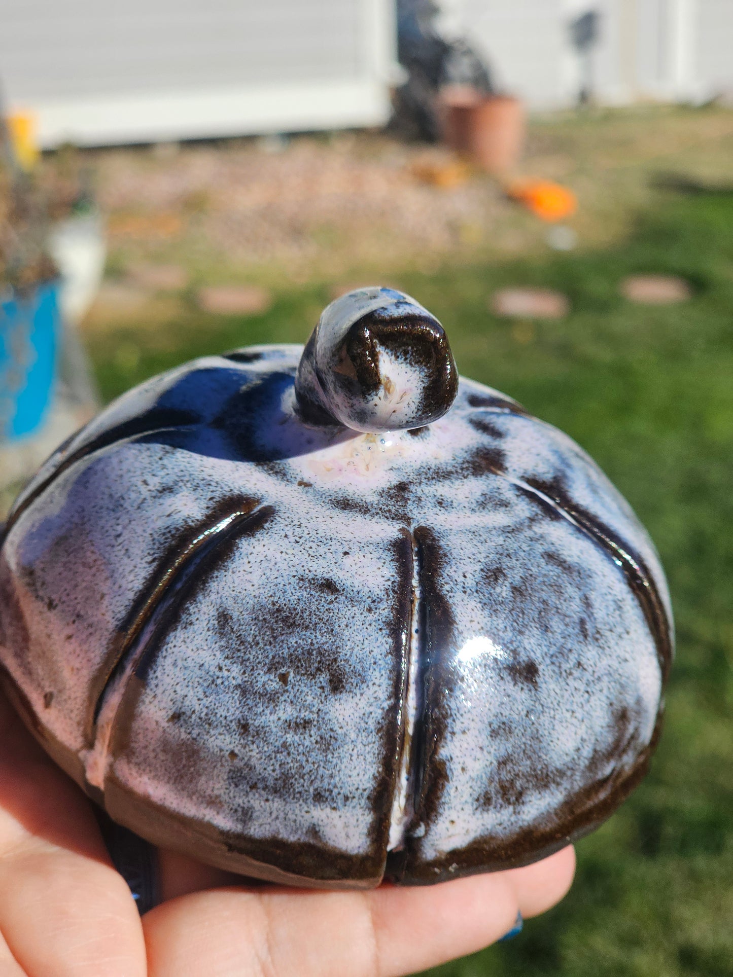 Pink Pumpkin